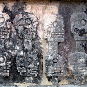A part of the sculpture adorning the 'Skull Rack', a tradition imported by the Toltec that probably really impressed the invading Spanish. <a href=></a>