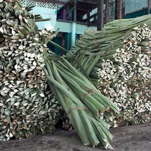 Unlike tequila, where the heart of the cactus is taken, it is the spears of the henequen that yield the sisal fibers. It was a labor-intensive business, where Mayan men would work long hours in intense heat with a machete. <a href=></a>