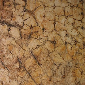 This is an aged kancab wall that demonstrates another populer stone pattern. <a href=></a>