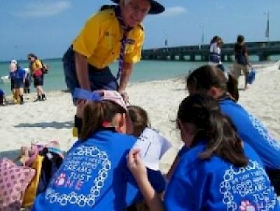 scouts