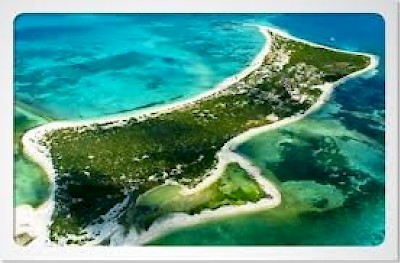 alacranes